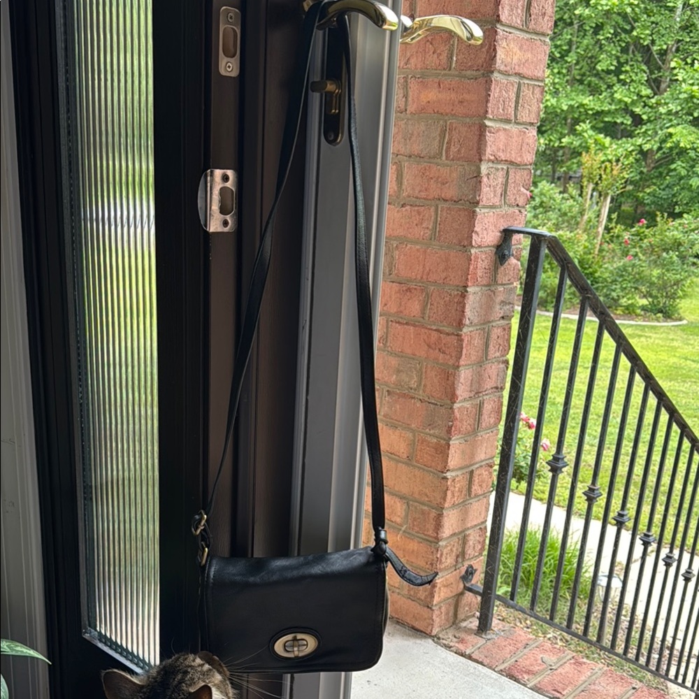 Chic Black Leather Crossbody Bag